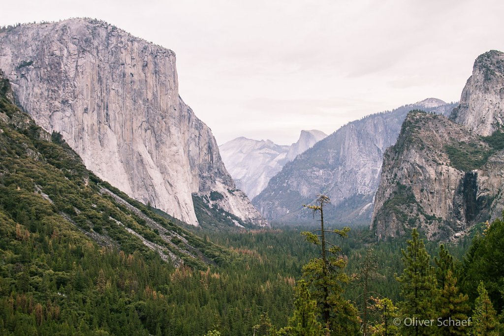 Yosemite NP California